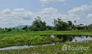 N/A Grundstück zu verkaufen in Huai Sak, Chiang Rai 