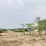  Land for sale in Thailand, Makluea Kao, Sung Noen, Nakhon Ratchasima, Thailand