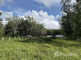  Terreno (Parcela) en venta en Si Sunthon, Phuket, Si Sunthon, Thalang, Phuket, Tailandia