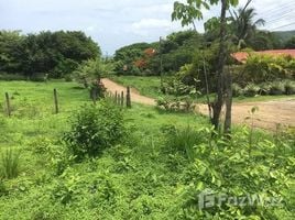  Terreno (Parcela) en venta en Hojancha, Guanacaste, Hojancha