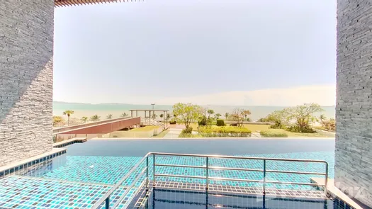 Фото 1 of the Communal Pool at Cetus Beachfront