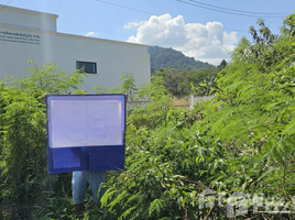  Land for sale in Thalang Phuket, Pa Khlok, Thalang, Phuket