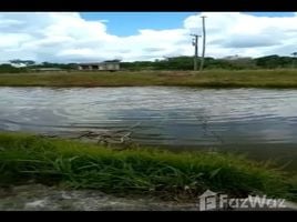  Terrain for sale in Amazonas, Humaita, Amazonas