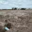  Land for sale in Cha-Am, Phetchaburi, Cha-Am, Cha-Am, Phetchaburi, Thailand