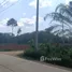 ขายที่ดิน ใน อ่าวนาง, กระบี่, อ่าวนาง