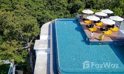 Photos 3 of the Communal Pool at Utopia Loft