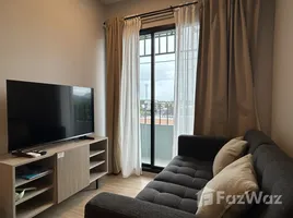 คอนโด 1 ห้องนอน ให้เช่า ในโครงการ เดอะ คิวบ์ อะเมซ, ศรีสุนทร