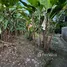  Terreno (Parcela) en venta en Mengwi, Bali, Mengwi