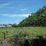  Land for sale in Phuket, Pa Khlok, Thalang, Phuket