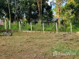 ขายที่ดิน ใน แม่แรม, เชียงใหม่, แม่แรม, แม่ริม, เชียงใหม่