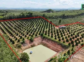  Land for sale in Thang Kwian, Rayong, Thang Kwian, Klaeng, Rayong, Thailand