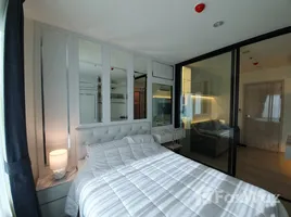 คอนโด 1 ห้องนอน ให้เช่า ในโครงการ ไลฟ์ อโศก, บางกะปิ