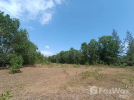  Land for sale in Phuket, Choeng Thale, Thalang, Phuket
