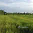  Terreno (Parcela) en venta en Ubon Ratchathani, Na Khai, Tan Sum, Ubon Ratchathani