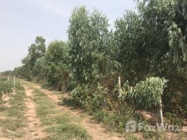  Land for sale in Nakhon Ratchasima, Hua Thale, Mueang Nakhon Ratchasima, Nakhon Ratchasima