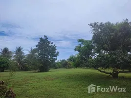  Land for sale in Sam Roi Yot, Hua Hin, Sam Roi Yot