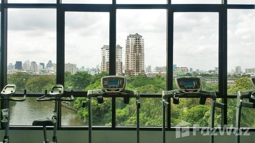 写真 1 of the Communal Gym at Blocs 77