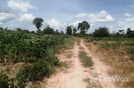  bedroom Land for sale at in Siem Reap, Cambodia