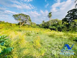 Terrain à vendre à Guananico, Puerto Plata, Guananico, Puerto Plata, République dominicaine