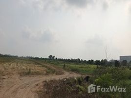 巴吞他尼 Bueng Kho Hai 100 Rai Land For Sale in Khlong 13, Lam Luk Ka N/A 土地 售 