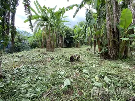  Grundstück zu verkaufen in Mae Rim, Chiang Mai, Mae Raem, Mae Rim