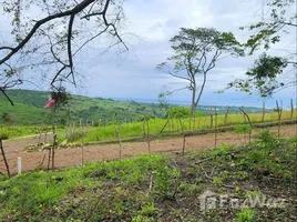  Grundstück zu verkaufen in San Felipe De Puerto Plata, Puerto Plata, San Felipe De Puerto Plata, Puerto Plata