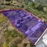  Grundstück zu verkaufen in Nayon, Pichincha, Nayon, Quito, Pichincha, Ecuador