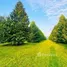  Land for sale in Khlong Pun, Rayong, Khlong Pun