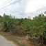  Land for sale in Hua Hin City, Hua Hin, Hua Hin City