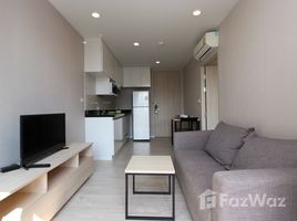 1 Bedroom Condo for sale at Palm Springs Nimman Fountain , Suthep, Mueang Chiang Mai