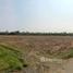 Land for sale in Khlong Khuean, Chachoengsao, Khlong Khuean, Khlong Khuean