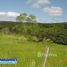  Land for sale in Fernando De Noronha, Rio Grande do Norte, Fernando De Noronha, Fernando De Noronha