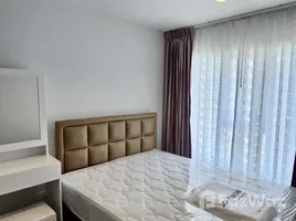 Appartement 1 chambre à louer à Regent Home Bangna, Bang Na, Bang Na, Bangkok