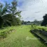  Land for sale in Ban Na Doem, Surat Thani, Na Tai, Ban Na Doem