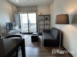 อพาร์ทเม้นท์ 1 ห้องนอน ให้เช่า ในโครงการ วายน์ สุขุมวิท, พระโขนง, คลองเตย, กรุงเทพมหานคร