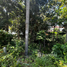 Land for sale in Ko Pha-Ngan, Surat Thani, Ko Pha-Ngan, Ko Pha-Ngan