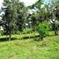  Land for sale in Tilaran, Guanacaste, Tilaran