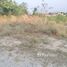  Land for sale in Mueang Chon Buri, Chon Buri, Nong Ri, Mueang Chon Buri