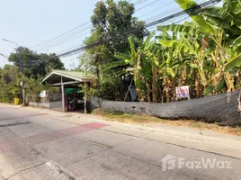  Land for sale in Sai Ma, Nonthaburi, Sai Ma, Mueang Nonthaburi, Nonthaburi