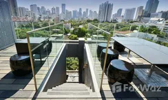 图片 2 of the Communal Garden Area at Siamese Gioia