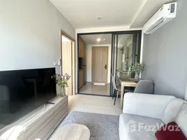 คอนโด 1 ห้องนอน ให้เช่า ในโครงการ เดอะ เบส ไรส์, วิชิต, เมืองภูเก็ต, ภูเก็ต