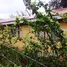 3 Schlafzimmer Haus zu verkaufen in Tilaran, Guanacaste, Tilaran