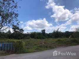  Земельный участок for sale in Сураттани, Makham Tia, Mueang Surat Thani, Сураттани