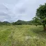  Земельный участок for sale in Нонг Пхлап, Хуа Хин, Нонг Пхлап, Хуа Хин, Прачуап Кири Кхан, Таиланд