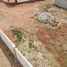  Terreno (Parcela) en venta en Tetouan, Tanger Tetouan, Tetouan