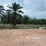 ขายที่ดิน ใน กะทู้, ภูเก็ต, กะทู้
