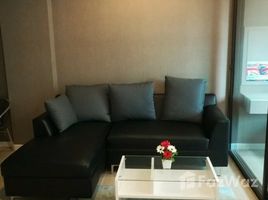 1 Bedroom Condo for rent in Bo Win, Pattaya The Living Plus Condo