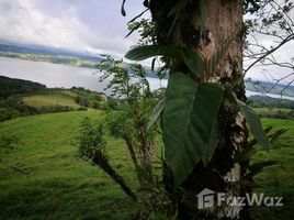 N/A Terreno (Parcela) en venta en , Guanacaste VISTA HERMOSA: Countryside and Mountain Agricultural Land For Sale in Tronadora, Tronadora, Guanacaste