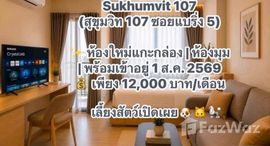Verfügbare Objekte im THE MUVE Sukhumvit 107