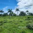 Terrain à vendre à San Felipe De Puerto Plata, Puerto Plata, San Felipe De Puerto Plata